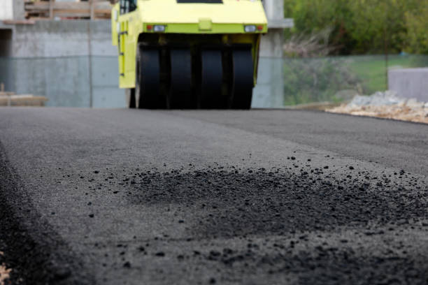 Best Professional Driveway Pavers  in Beach Haven, NJ