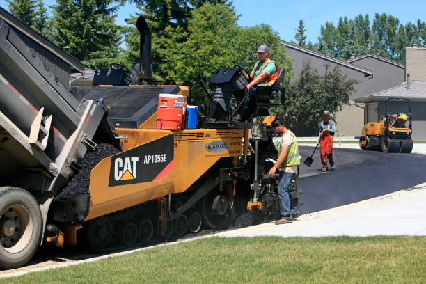 Best Custom Driveway Pavers  in Beach Haven, NJ